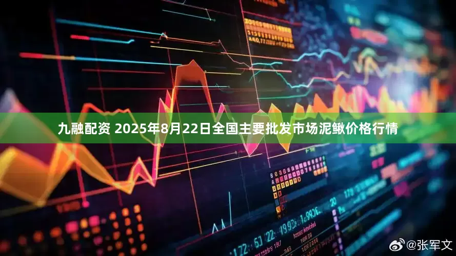 九融配资 2025年8月22日全国主要批发市场泥鳅价格行情