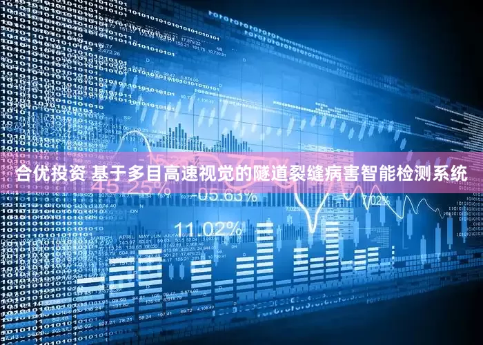 合优投资 基于多目高速视觉的隧道裂缝病害智能检测系统
